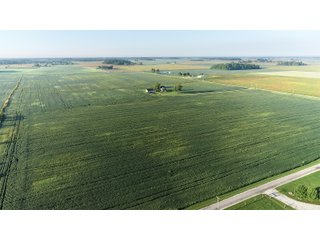 TRACTS 2 & 3 - LAND AUCTION - 160 +/- ACRES CROPLAND & 2-STORY FARMHOUSE OFFERED IN 3 TRACTS IN RUSH COUNTY, INDIANA