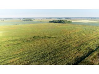 TRACT 1 - LAND AUCTION - 160 +/- ACRES CROPLAND & 2-STORY FARMHOUSE OFFERED IN 3 TRACTS IN RUSH COUNTY, INDIANA