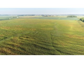 TRACT 1 - LAND AUCTION - 160 +/- ACRES CROPLAND & 2-STORY FARMHOUSE OFFERED IN 3 TRACTS IN RUSH COUNTY, INDIANA