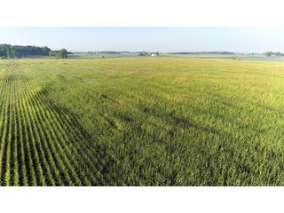TRACT 1 - LAND AUCTION - 160 +/- ACRES CROPLAND & 2-STORY FARMHOUSE OFFERED IN 3 TRACTS IN RUSH COUNTY, INDIANA