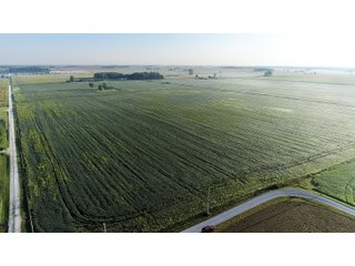 TRACT 2 - LAND AUCTION - 160 +/- ACRES CROPLAND & 2-STORY FARMHOUSE OFFERED IN 3 TRACTS IN RUSH COUNTY, INDIANA
