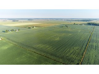 TRACTS 2 & 3 - LAND AUCTION - 160 +/- ACRES CROPLAND & 2-STORY FARMHOUSE OFFERED IN 3 TRACTS IN RUSH COUNTY, INDIANA
