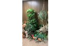 Property photo 35 - TIMED ONLINE ONLY PERSONAL PROPERTY AUCTION - ALLEN COUNTY, INDIANA