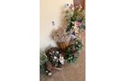 Property photo 240 - TIMED ONLINE ONLY PERSONAL PROPERTY AUCTION - ALLEN COUNTY, INDIANA