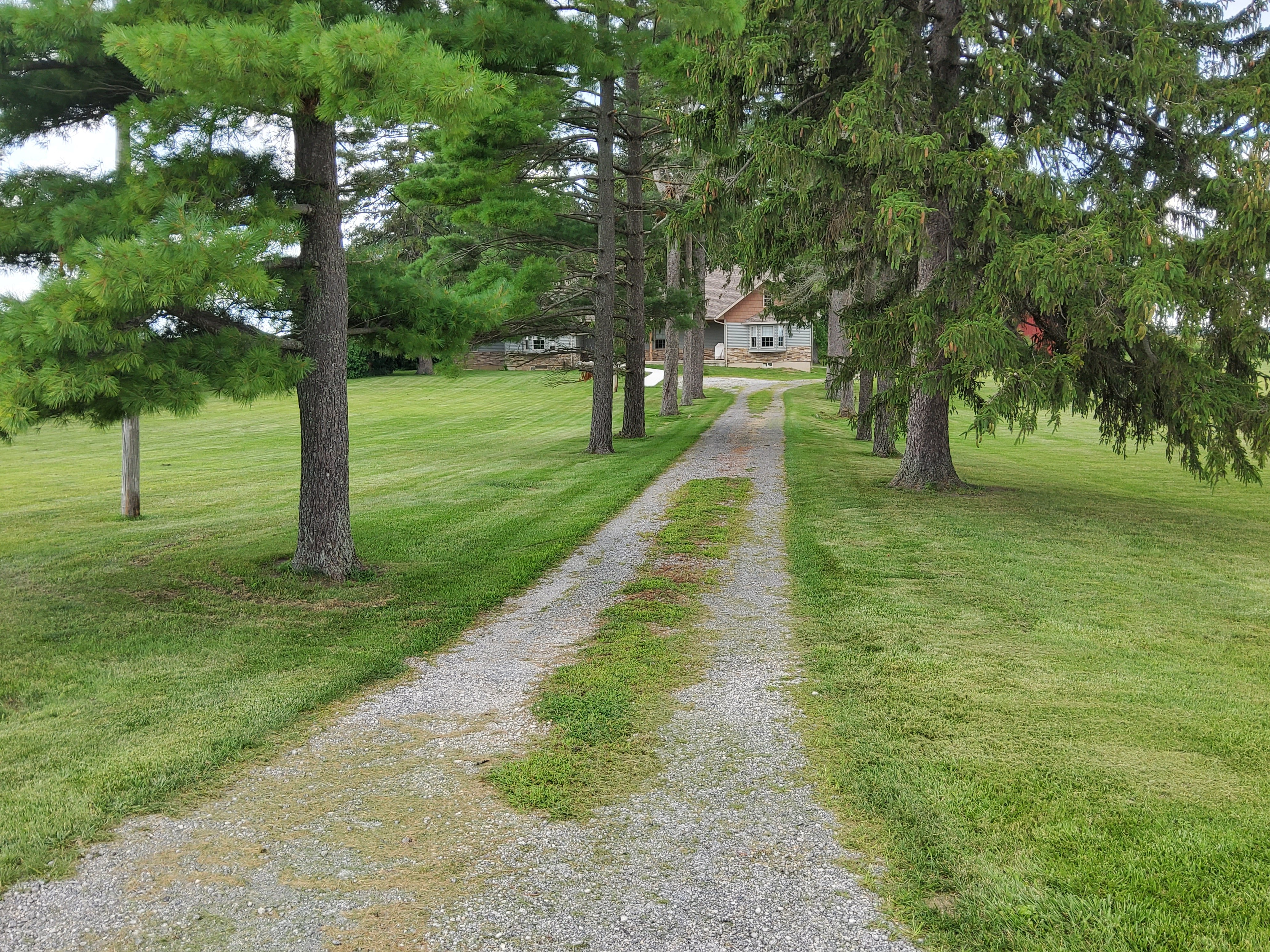 Property photo 25 - REAL ESTATE AUCTION - 3.24+/- ACRES OFFERED IN 1 TRACT IN WHITLEY COUNTY, INDIANA