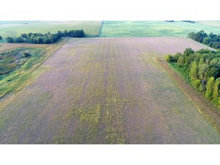Property photo 2 - LAND AUCTION 127+/- ACRES OFFERED IN 3 TRACTS IN CLINTON COUNTY, INDIANA