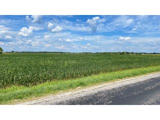Property photo 6 - LAND AUCTION 127+/- ACRES OFFERED IN 3 TRACTS IN CLINTON COUNTY, INDIANA