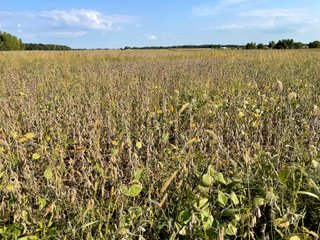 Property photo 7 - LAND AUCTION 127+/- ACRES OFFERED IN 3 TRACTS IN CLINTON COUNTY, INDIANA
