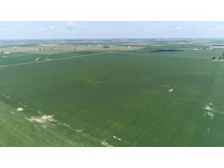 Property photo 1 - LAND AUCTION - 198+/- ACRES OFFERED IN 3 TRACTS IN WOOD COUNTY, OHIO
