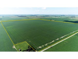 Property photo 2 - LAND AUCTION - 198+/- ACRES OFFERED IN 3 TRACTS IN WOOD COUNTY, OHIO