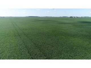 Property photo 3 - LAND AUCTION - 198+/- ACRES OFFERED IN 3 TRACTS IN WOOD COUNTY, OHIO