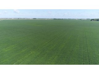 Property photo 5 - LAND AUCTION - 198+/- ACRES OFFERED IN 3 TRACTS IN WOOD COUNTY, OHIO