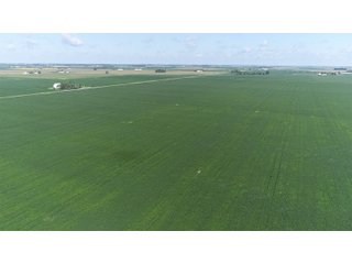 Property photo 6 - LAND AUCTION - 198+/- ACRES OFFERED IN 3 TRACTS IN WOOD COUNTY, OHIO