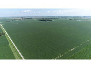 Property photo 7 - LAND AUCTION - 198+/- ACRES OFFERED IN 3 TRACTS IN WOOD COUNTY, OHIO
