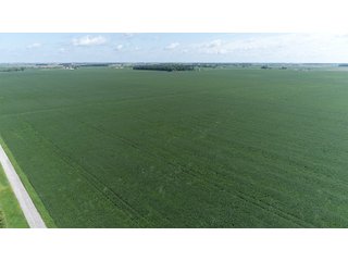 Property photo 8 - LAND AUCTION - 198+/- ACRES OFFERED IN 3 TRACTS IN WOOD COUNTY, OHIO