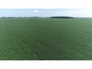 Property photo 9 - LAND AUCTION - 198+/- ACRES OFFERED IN 3 TRACTS IN WOOD COUNTY, OHIO