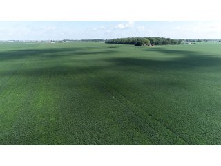 Property photo 11 - LAND AUCTION - 198+/- ACRES OFFERED IN 3 TRACTS IN WOOD COUNTY, OHIO