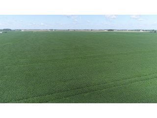 Property photo 12 - LAND AUCTION - 198+/- ACRES OFFERED IN 3 TRACTS IN WOOD COUNTY, OHIO