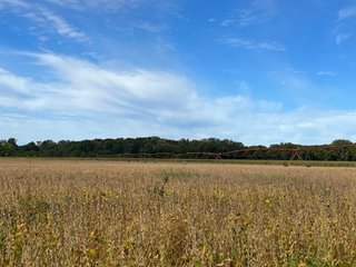 Property photo 62 - LAND AUCTION - 831+/- ACRES OFFERED IN 6 TRACTS IN MIAMI COUNTY, OHIO
