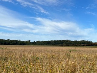 Property photo 63 - LAND AUCTION - 831+/- ACRES OFFERED IN 6 TRACTS IN MIAMI COUNTY, OHIO