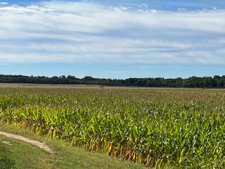 Property photo 66 - LAND AUCTION - 831+/- ACRES OFFERED IN 6 TRACTS IN MIAMI COUNTY, OHIO