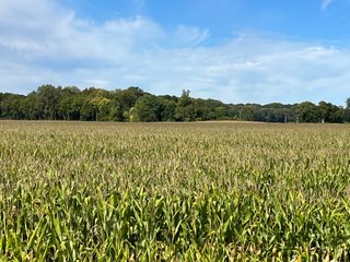 Property photo 67 - LAND AUCTION - 831+/- ACRES OFFERED IN 6 TRACTS IN MIAMI COUNTY, OHIO