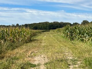 Property photo 68 - LAND AUCTION - 831+/- ACRES OFFERED IN 6 TRACTS IN MIAMI COUNTY, OHIO