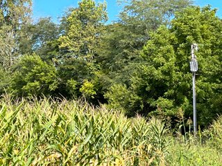 Property photo 72 - LAND AUCTION - 831+/- ACRES OFFERED IN 6 TRACTS IN MIAMI COUNTY, OHIO
