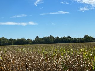 Property photo 74 - LAND AUCTION - 831+/- ACRES OFFERED IN 6 TRACTS IN MIAMI COUNTY, OHIO