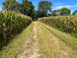 Property photo 78 - LAND AUCTION - 831+/- ACRES OFFERED IN 6 TRACTS IN MIAMI COUNTY, OHIO