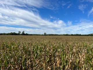 Property photo 80 - LAND AUCTION - 831+/- ACRES OFFERED IN 6 TRACTS IN MIAMI COUNTY, OHIO