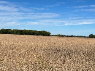 Property photo 75 - LAND AUCTION - 831+/- ACRES OFFERED IN 6 TRACTS IN MIAMI COUNTY, OHIO