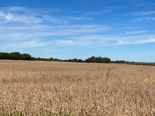 Property photo 39 - LAND AUCTION - 831+/- ACRES OFFERED IN 6 TRACTS IN MIAMI COUNTY, OHIO