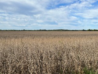 Property photo 41 - LAND AUCTION - 831+/- ACRES OFFERED IN 6 TRACTS IN MIAMI COUNTY, OHIO