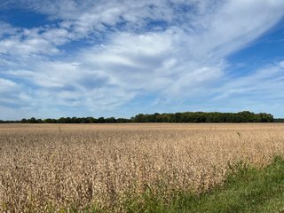 Property photo 42 - LAND AUCTION - 831+/- ACRES OFFERED IN 6 TRACTS IN MIAMI COUNTY, OHIO