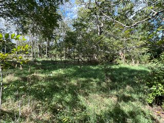 Property photo 47 - LAND AUCTION - 831+/- ACRES OFFERED IN 6 TRACTS IN MIAMI COUNTY, OHIO