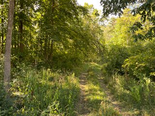 Property photo 49 - LAND AUCTION - 831+/- ACRES OFFERED IN 6 TRACTS IN MIAMI COUNTY, OHIO