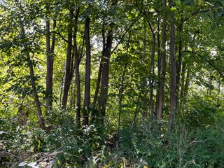 Property photo 50 - LAND AUCTION - 831+/- ACRES OFFERED IN 6 TRACTS IN MIAMI COUNTY, OHIO
