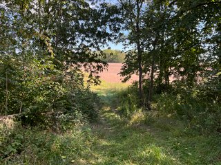 Property photo 51 - LAND AUCTION - 831+/- ACRES OFFERED IN 6 TRACTS IN MIAMI COUNTY, OHIO
