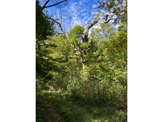 Property photo 52 - LAND AUCTION - 831+/- ACRES OFFERED IN 6 TRACTS IN MIAMI COUNTY, OHIO