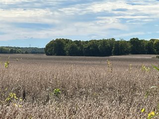 Property photo 55 - LAND AUCTION - 831+/- ACRES OFFERED IN 6 TRACTS IN MIAMI COUNTY, OHIO