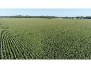 Property photo 10 - LAND AUCTION - 831+/- ACRES OFFERED IN 6 TRACTS IN MIAMI COUNTY, OHIO