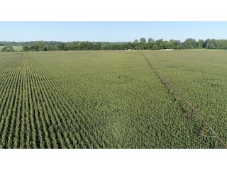Property photo 16 - LAND AUCTION - 831+/- ACRES OFFERED IN 6 TRACTS IN MIAMI COUNTY, OHIO