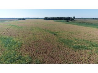 Property photo 19 - LAND AUCTION - 831+/- ACRES OFFERED IN 6 TRACTS IN MIAMI COUNTY, OHIO