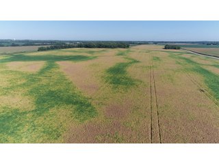 Property photo 22 - LAND AUCTION - 831+/- ACRES OFFERED IN 6 TRACTS IN MIAMI COUNTY, OHIO