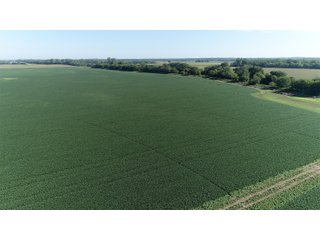 Property photo 28 - LAND AUCTION - 831+/- ACRES OFFERED IN 6 TRACTS IN MIAMI COUNTY, OHIO