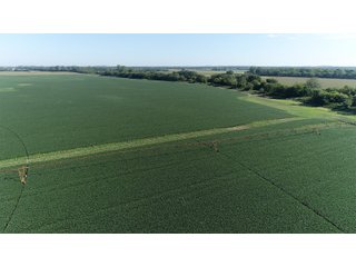Property photo 29 - LAND AUCTION - 831+/- ACRES OFFERED IN 6 TRACTS IN MIAMI COUNTY, OHIO