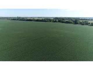 Property photo 31 - LAND AUCTION - 831+/- ACRES OFFERED IN 6 TRACTS IN MIAMI COUNTY, OHIO