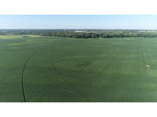 Property photo 4 - LAND AUCTION - 831+/- ACRES OFFERED IN 6 TRACTS IN MIAMI COUNTY, OHIO