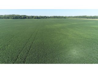 Property photo 7 - LAND AUCTION - 831+/- ACRES OFFERED IN 6 TRACTS IN MIAMI COUNTY, OHIO